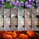 Wicked Good Energetic Oils Wicked Good Energetic Oils